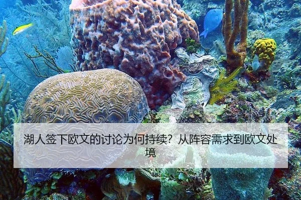 湖人签下欧文的讨论为何持续？从阵容需求到欧文处境
